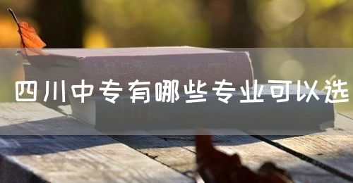 四川中專有哪些專業可以選？(圖1)