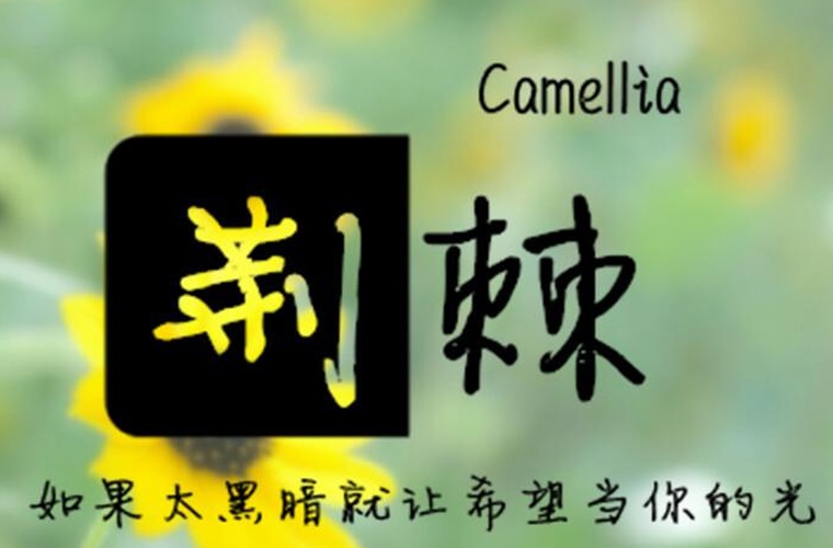 興仁民族幼師職業技術學校