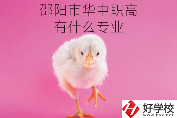 邵陽市華中職高怎么樣?有什么專業?