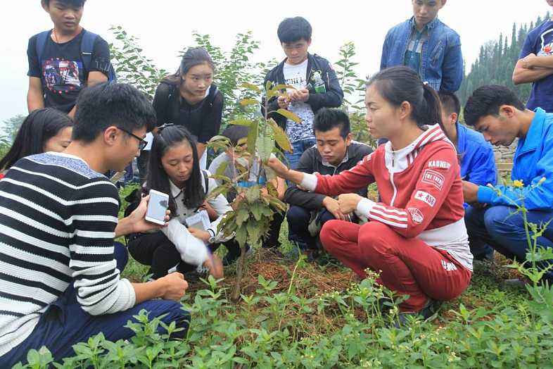 西秀區高級職業技術中學