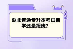 湖北普通專升本考試自學還是報班？
