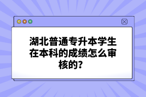 湖北普通專升本學生在本科的成績怎么審核的？