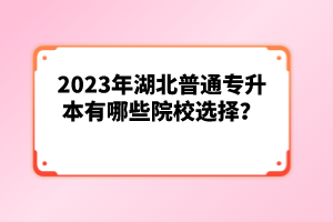 2023年湖北普通專升本有哪些院校選擇？
