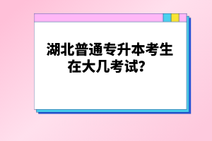 湖北普通專升本考生在大幾考試？