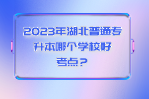 2023年湖北普通專升本哪個學校好考點？