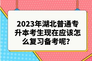 2023年湖北普通專升本考生現在應該怎么復習備考呢？
