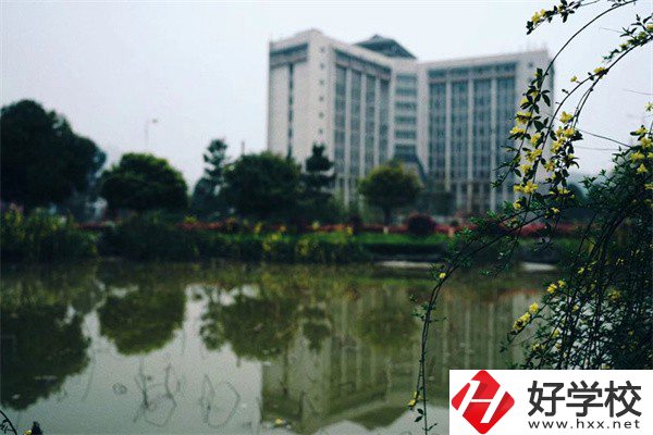 湘西有哪些重點技?？梢酝扑]？學校特色是什么？