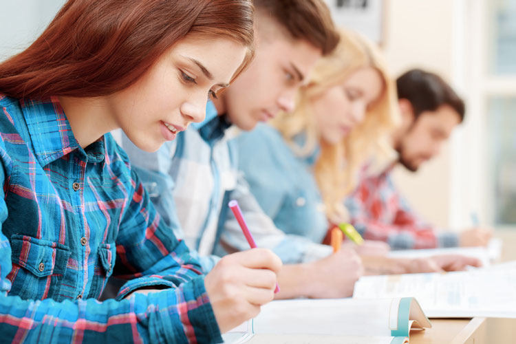 東北農業大學有專升本嗎？專升本報名哪些專業？
