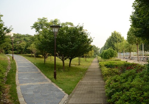 1637568512586795.jpg 衛生學校單招.jpg