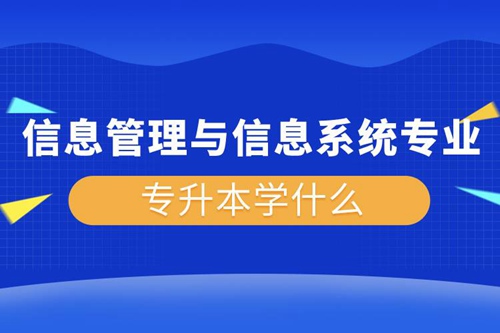 信息管理與信息系統專業專升本學什么