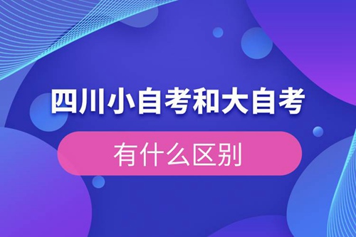 四川小自考和大自考有什么區別