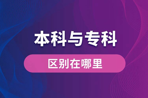 本科與?？频膮^別在哪里