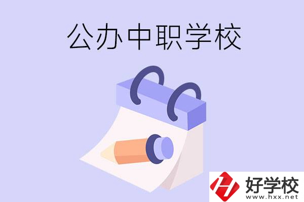 湖南公辦中職學校有哪些辦學規模比較大的？