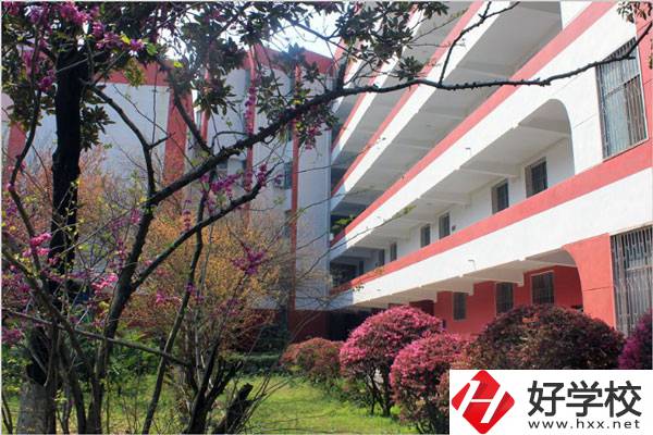 婁底有哪些技校？哪一所比較好？