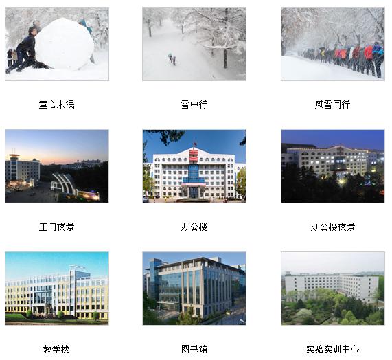 黑龍江林業職業技術學院 校園圖片簡介