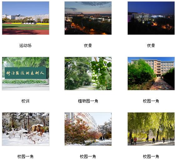 黑龍江林業職業技術學院 校園圖片簡介