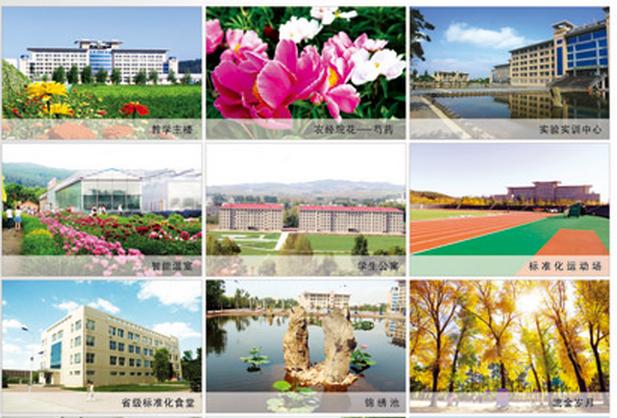 黑龍江農業經濟職業學院 校園圖片簡介