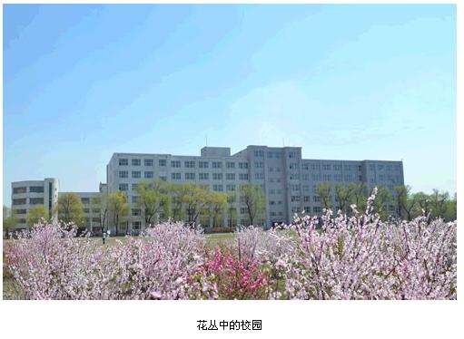 吉林電子信息職業技術學院