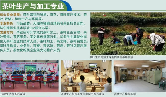 福鼎職業中專學校