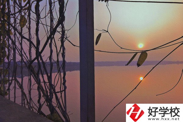 張家界的中職學校學什么專業好？哪些專業前景佳？