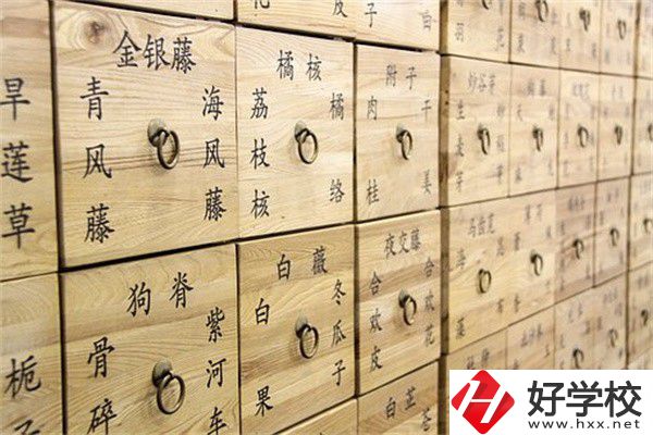 湖南省哪些中職有中藥專業？