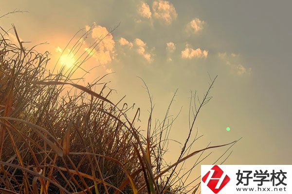 衡陽市瀟湘衛生中等專業學校宿舍環境以及食堂怎么樣？