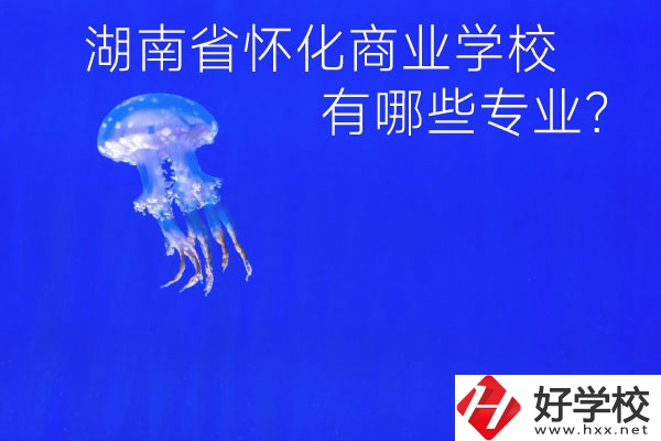 湖南省懷化商業學校好不好？有哪些專業？