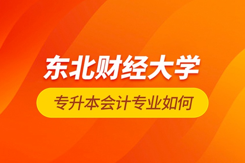 東北財經大學專升本會計專業如何