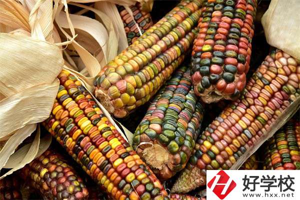 岳陽中職學校哪些專業好？有什么學校推薦？