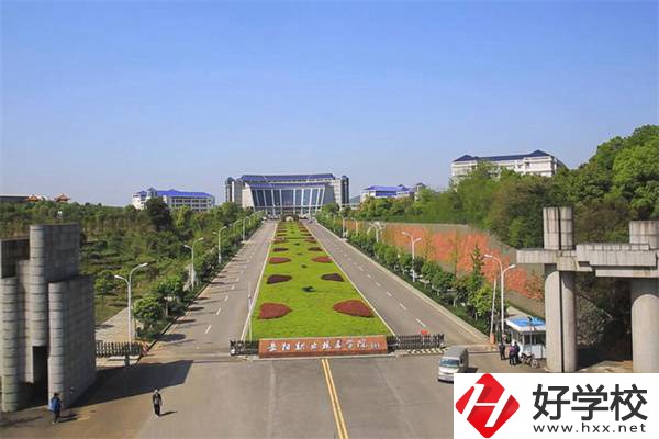 岳陽有哪些招收初中生的公辦大專？招生專業有哪些？
