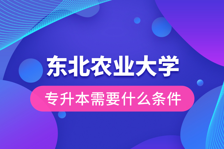 東北農業大學專升本需要什么條件？