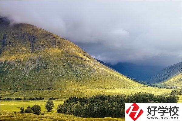 在湖南讀中專，哪些專業就業前景比較好？