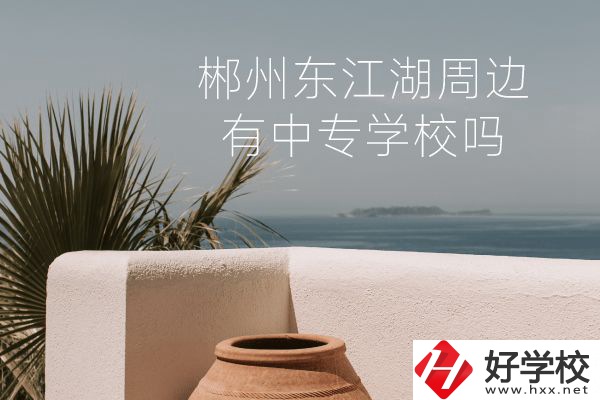 郴州東江湖周邊有中專學校嗎？