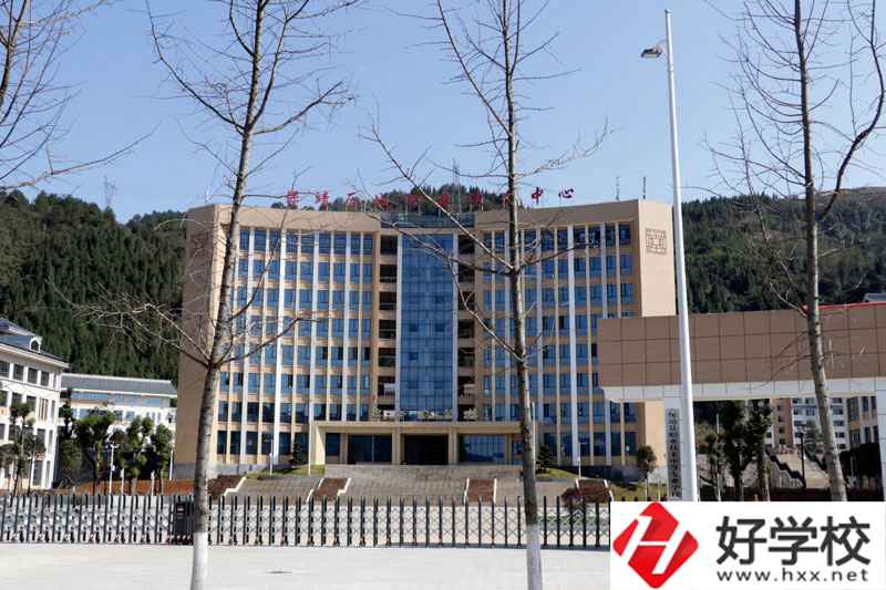 湘西州保靖縣中等職業技術學校大門