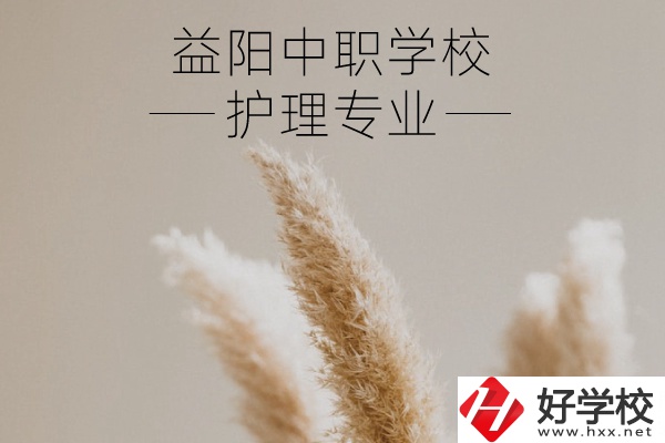 益陽護理專業的中職學校有哪些？需要哪些要求？