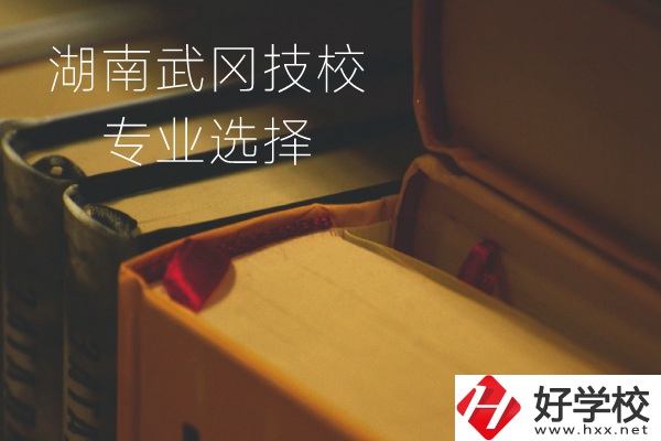 湖南武岡技校怎么樣？有哪些專業可以選擇？