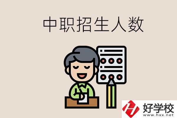 湖南中職學校每年的招生人數是多少？