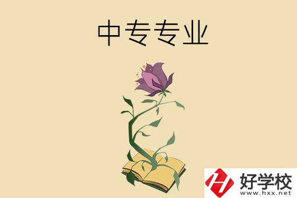在張家界讀中專，學什么專業比較好？