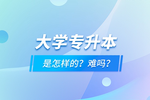 大學專升本是怎樣的？難嗎？