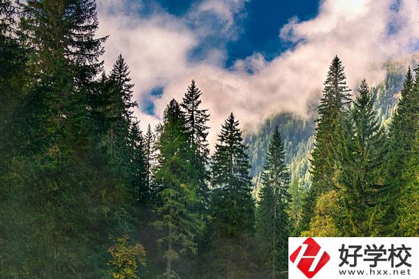 永州東方科技職業學校有哪些辦學特色？