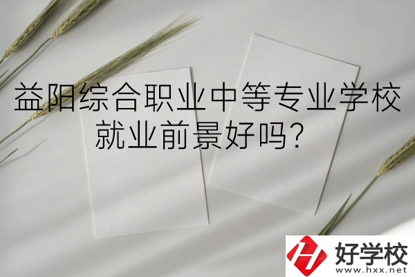 益陽綜合職業中等專業學校如何？就業前景好嗎？