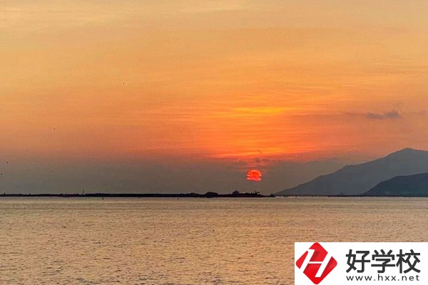 湘西龍山縣誠信職業技術學校有哪些對口單招專業？