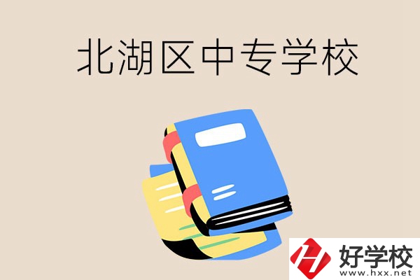 郴州市北湖區一共有多少所中專學校？