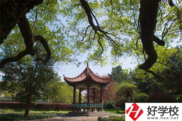 長沙市望城區職業中等專業學校的官網是什么？
