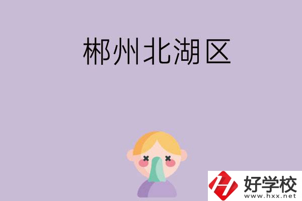 	 郴州北湖區有哪些學校？