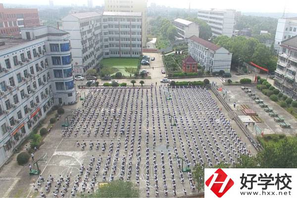 益陽市有哪些中職學?？梢詫W習到機器人的知識?