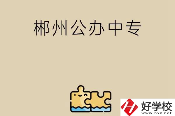 郴州公辦中專有哪些開設了電子商務專業？