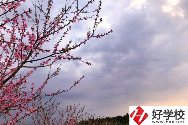 邵陽市瀟湘中等職業技術學校怎么樣？收費標準如何？
