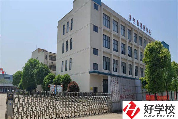 益陽有哪些計算機職校？專業就業前景怎么樣？