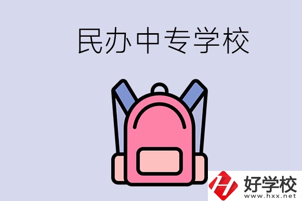 益陽的民辦中專學校有多少所？辦學怎么樣？